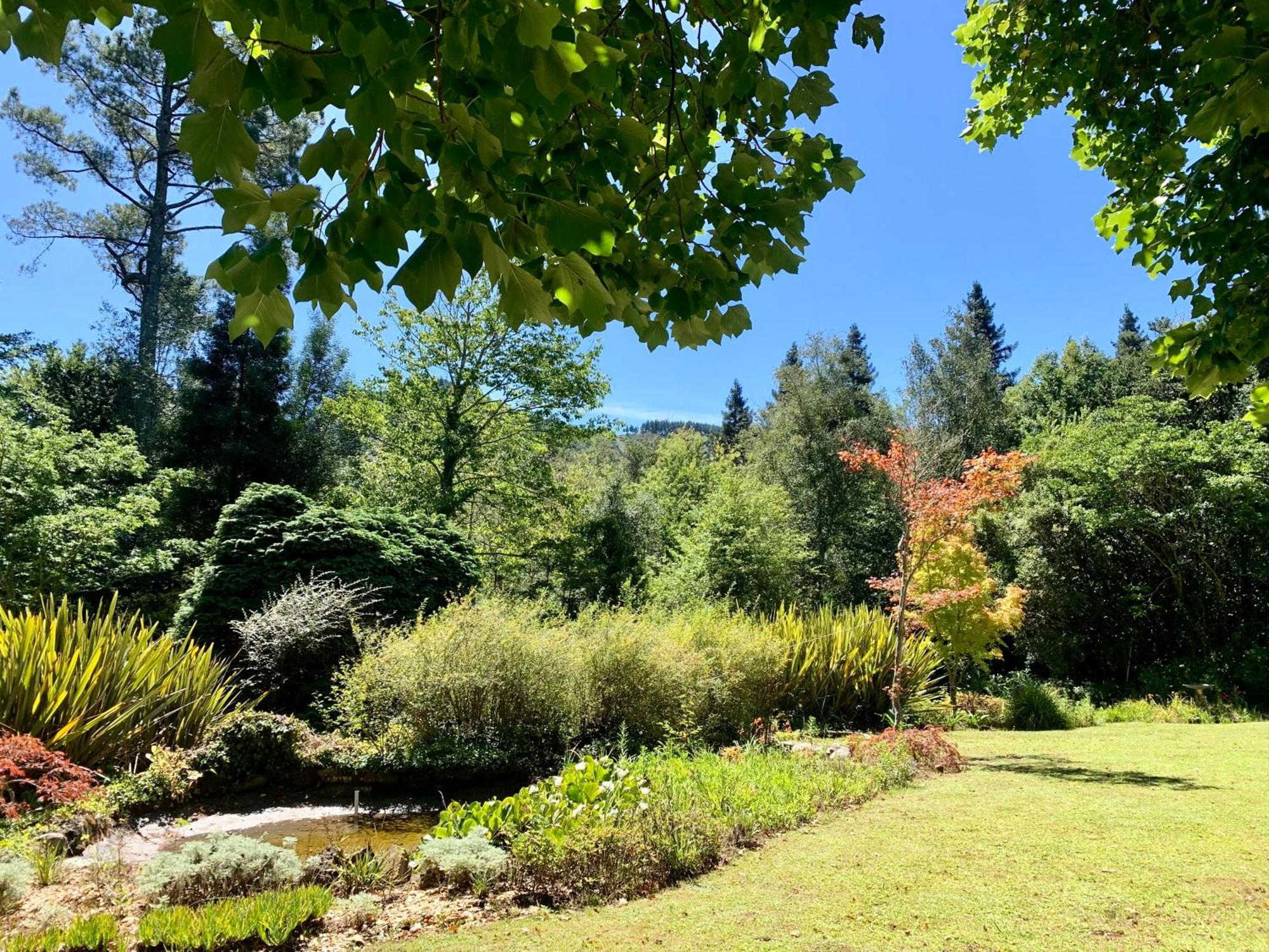 Back O' The Moon Holiday Cottage Hogsback Exterior foto