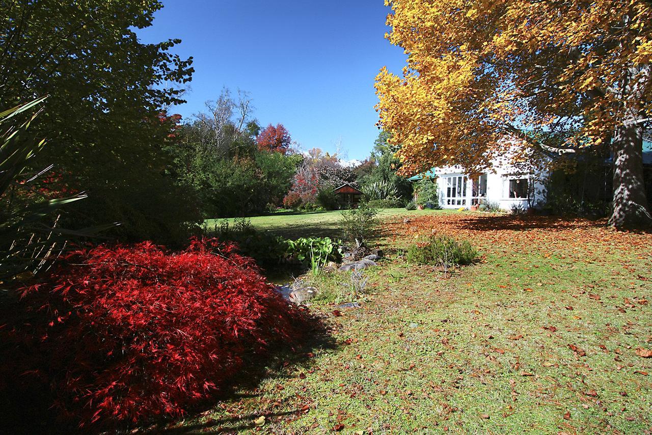 Back O' The Moon Holiday Cottage Hogsback Exterior foto