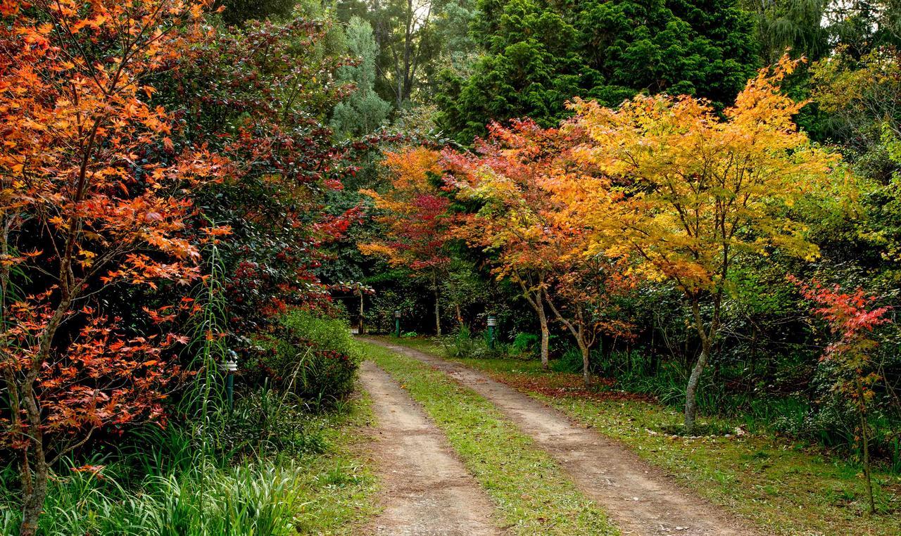 Back O' The Moon Holiday Cottage Hogsback Exterior foto
